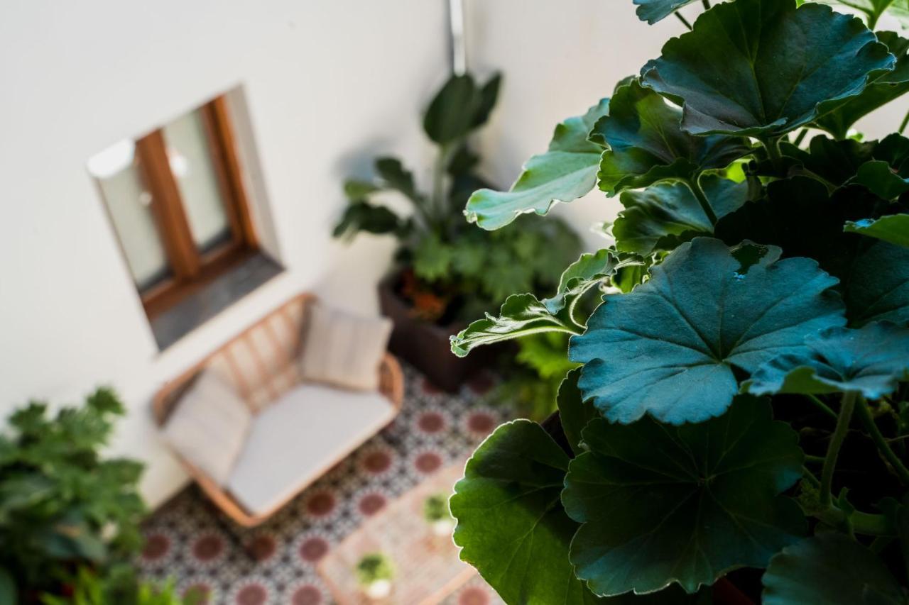 Ibericabeds Albaicin Daire Granada Dış mekan fotoğraf